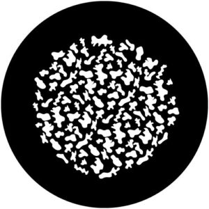 T143 Scatter