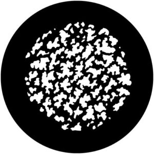 T150 Dense Scatter