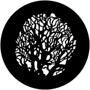 T180 Bare Branches