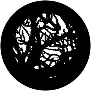 T182-2 Branches 2