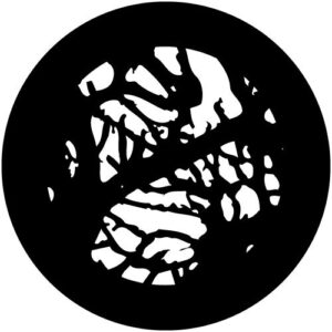 T182-3 Branches 3