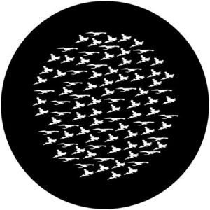 T196 Flock of Leaves Stainless Steel Gobo