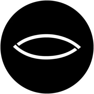 T302-1 Jive Eye