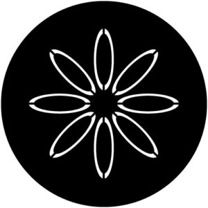 T501-1 Daisy Outline