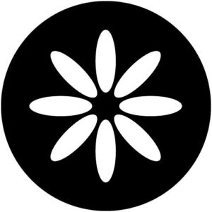 T501-2 Daisy Filled