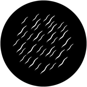 T845-2 Worm Rain