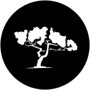 T900 Old Tree