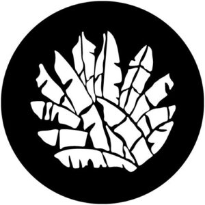 T906-1 Fan Leaves
