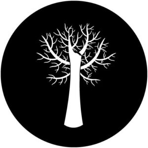 T911-4 Winter Branches
