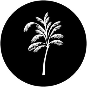 T915 Palm