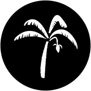 T916 Banana Palm