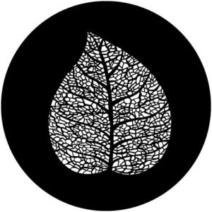 T919-1 Whole Leaf Vein