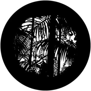 T921-1 Rainforest