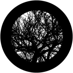 T921-7 Alpine Branches