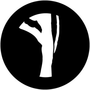 T923-3 Lonely Tree 3