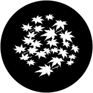 T935-1 Autumn Breakup