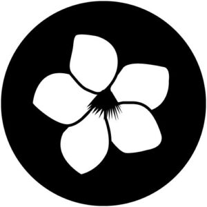 T937 Petals 1