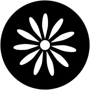 T940 Daisy