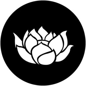 T941-2 Lotus