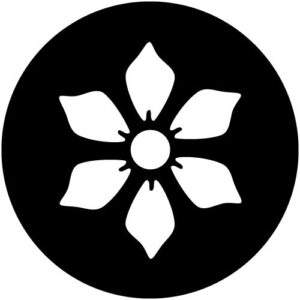 T942 Flower 2