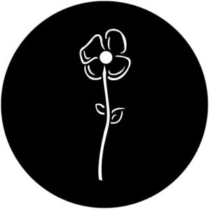 T950-1 Tall Poppy