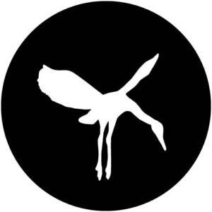 T951 Brolga