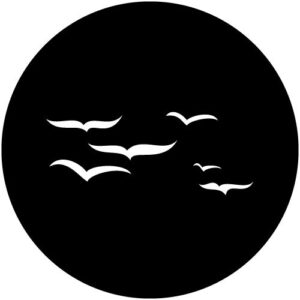 T955 Simple Birds