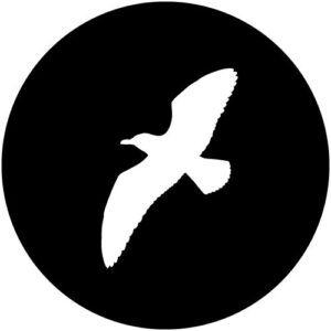 T956 Gull 1
