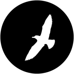T957 Gull 2