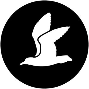 T958 Gull 3
