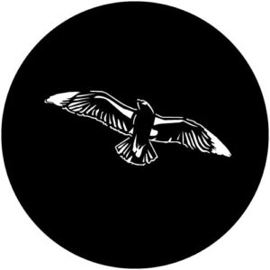 T959 Bird