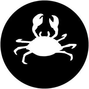T963 Crab