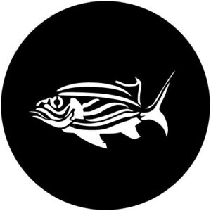 T965 Reef Fish