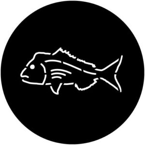 T966 Snapper