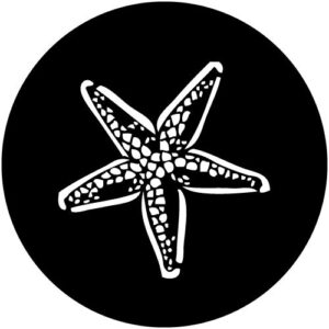 T973-1 Starfish Flat Out