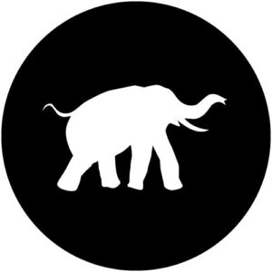 T983-1 Elephant 1