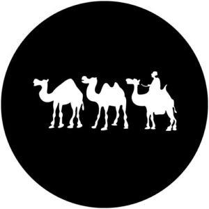 T983-3 Desert Camels