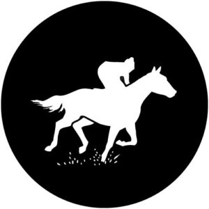 T989-1 Racing 1