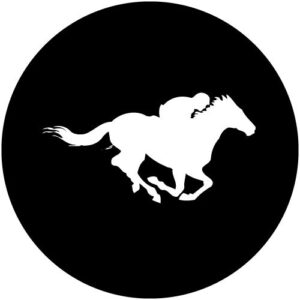 T989-2 Racing 2