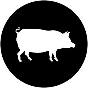 T990-2 Pig