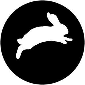 T990-6 Jumping Bunny