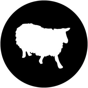 T990-7 Woolly Sheep