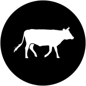 T990-8 Cow