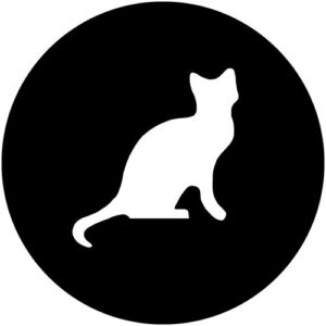 T992-3 Domestic Cat