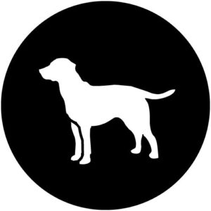 T992-6 Dog Standing
