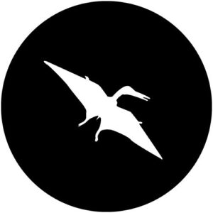 T995-5 Silhouette Pterodactyl