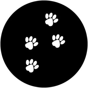 T997-1 Paws