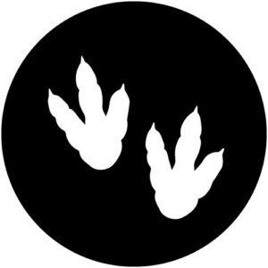 T997-2 Dinosaur Feet