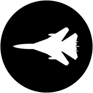 T1183-2 F111 Wings In