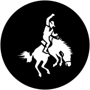 T1029-1 Bucking Horse